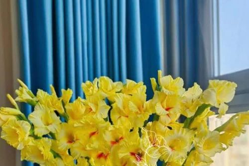 Tử vi ngày 14/3/2025 của 12 cung hoàng đạo: Song Tử thăng hoa về tài chính