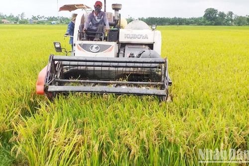 Quảng Trị xây dựng Đảng vững mạnh từ chi bộ