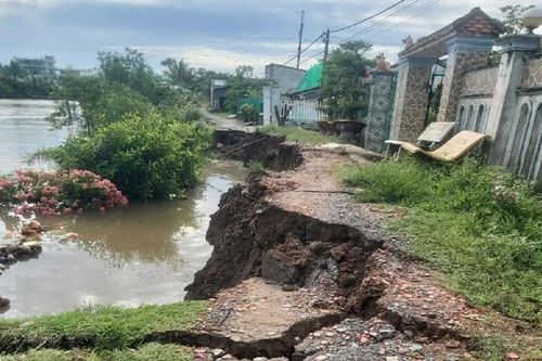 Ngăn chặn tình trạng sạt lở đất đá, bờ sông, bờ biển