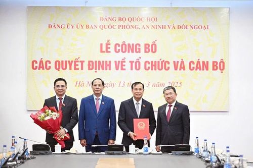 Công bố các quyết định về tổ chức và cán bộ của Đảng bộ Ủy ban Quốc phòng, An ninh và Đối ngoại của Quốc hội