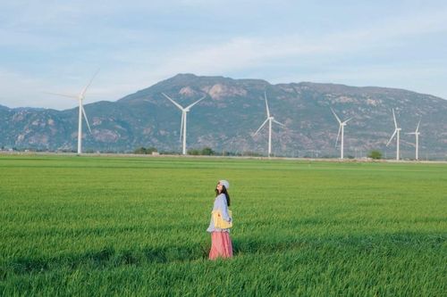 Say lòng trước vẻ đẹp bất tận của cánh đồng điện gió Đầm Nại