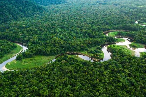 Ireland góp hơn 16 triệu USD cho Quỹ Bảo vệ rừng Amazon