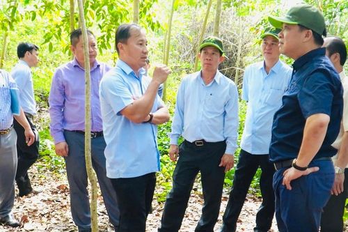 Khảo sát xây dựng cầu Mã Đà kết nối Đồng Nai - Bình Phước