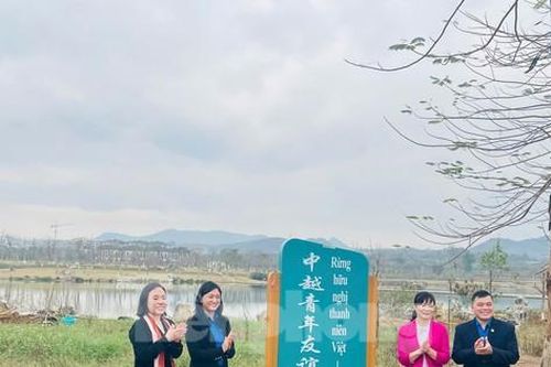 Cây xanh hữu nghị xây dựng tương lai