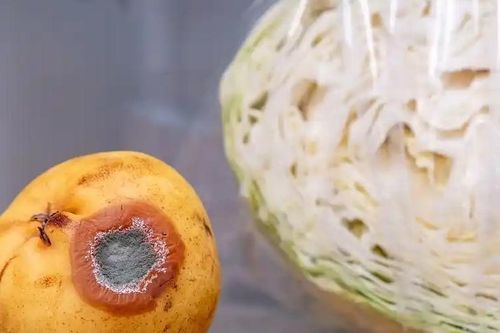 Bác sĩ cảnh báo 4 cách bảo quản thực phẩm trong tủ lạnh tăng nguy cơ bị ung thư