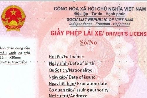 Mẫu Giấy phép lái xe mới nhất 2025