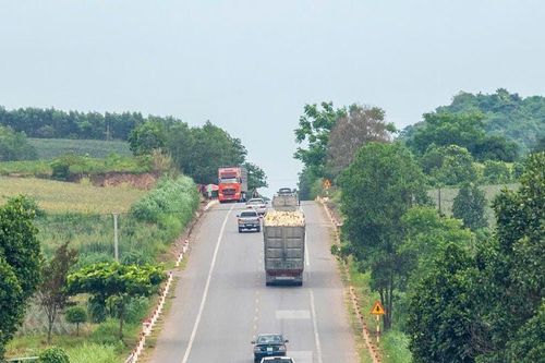 Giữ nguồn nguyên liệu gỗ, bài toán khó không chỉ ở huyện Quỳ Hợp
