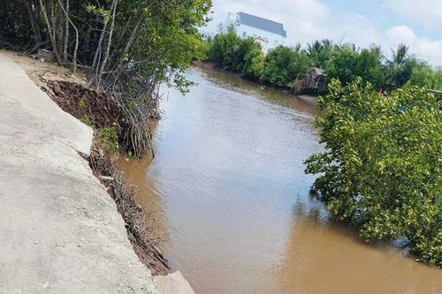 Bạc Liêu: Sạt lở bờ kênh gần cống ngăn triều