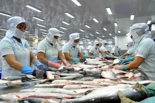 'Chìa khóa' mở rộng thị trường xuất khẩu