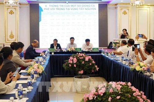 Bàn giải pháp phát triển bền vững ngành hàng cà phê