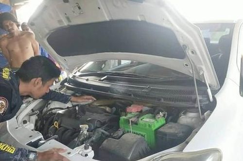 'Vị khách không mời' bị phát hiện ẩn nấp trong động cơ xe hơi, cả khu dân cư hoảng loạn
