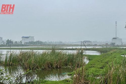 Hợp đồng hợp tác hay kịch bản chiếm đoạt tài sản? - Góc khuất từ vụ TNC huy động vốn 'chui' vào Dự án Yên Trạch (Bài cuối): Nhà đầu tư cần tỉnh táo!