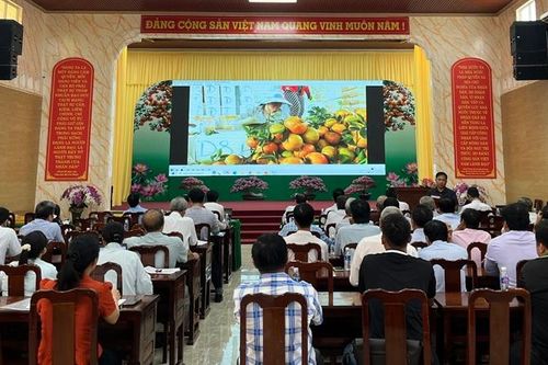 Thực hiện nhiều giải pháp bảo tồn vườn quýt hồng huyện Lai Vung