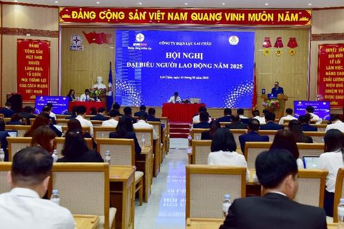 Hội nghị đại biểu người lao động Công ty Điện lực Lai Châu năm 2025