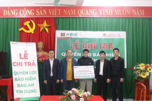 Chi trả 222 triệu đồng cho khách hàng tham gia bảo hiểm Bảo an tín dụng