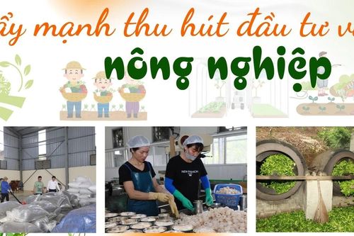 Đẩy mạnh thu hút đầu tư vào nông nghiệp