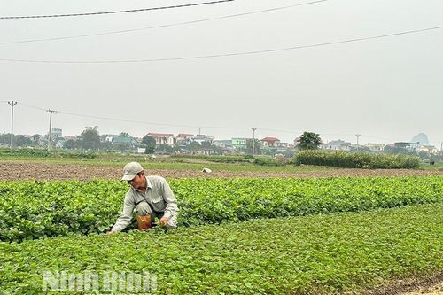 Nâng tầm giá trị nông sản từ chế biến sâu