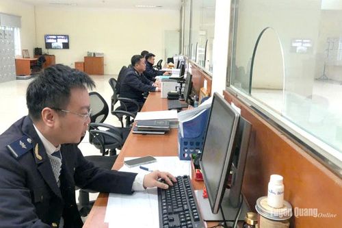 Cục Hải quan tạm dừng tiếp nhận tờ khai hải quan
