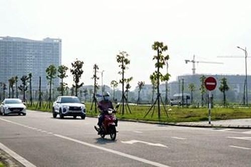 Đầu tư đồng bộ hạ tầng đô thị
