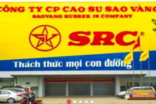 Cao su Sao Vàng nói gì về chênh lệch kết quả kinh doanh sau kiểm toán?