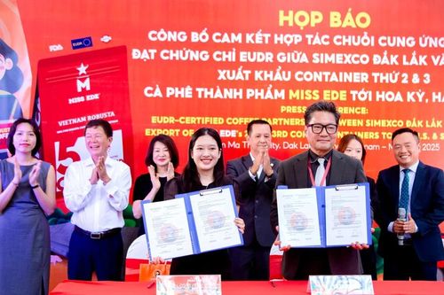 Doanh nghiệp Đắk Lắk 'bắt tay' xuất khẩu cà phê đạt chuẩn EUDR