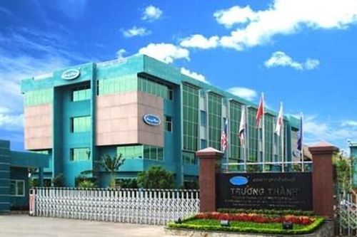 Tái cấu trúc quy mô hoạt động, Gỗ Trường Thành (TTF) giải thể công ty con tại Bình Định