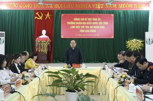Bí thư Tỉnh ủy Quản Minh Cường làm việc với Tòa án nhân dân tỉnh