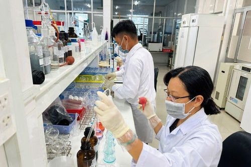 Hoạt động ổn định, thông suốt sau sáp nhập
