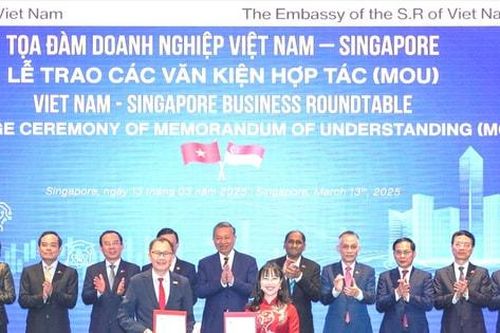 VinUni và NTU Singapore ký kết hợp tác toàn diện