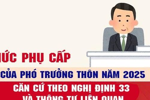 Số lượng, mức phụ cấp của Phó trưởng thôn năm 2025