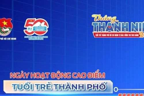 TP.HCM tổ chức ngày cao điểm đẩy mạnh chuyển đổi số và xung kích sáng tạo