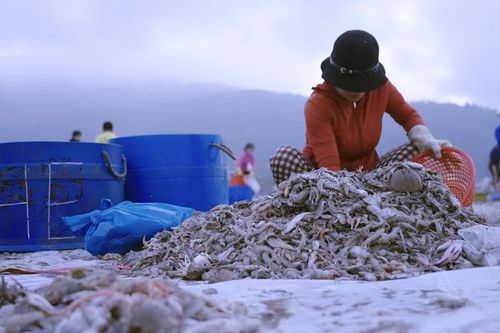 Khởi động dự án giúp phụ nữ cải thiện cuộc sống và bảo vệ môi trường