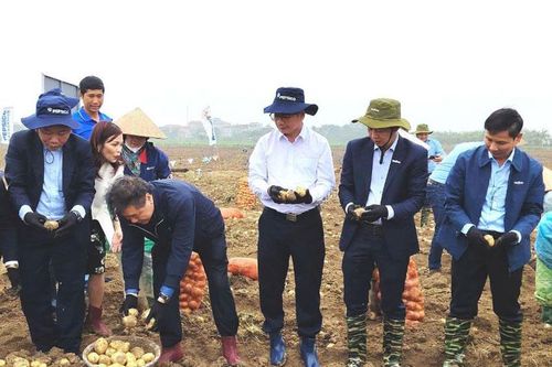 Hiện thực hóa mạng lưới đổi mới sáng tạo lương thực, thực phẩm tại Việt Nam