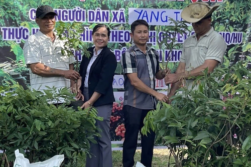 Đảng viên hỗ trợ hộ nghèo ở Yang Tao