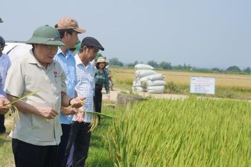 Tự hào trên quê hương anh hùng