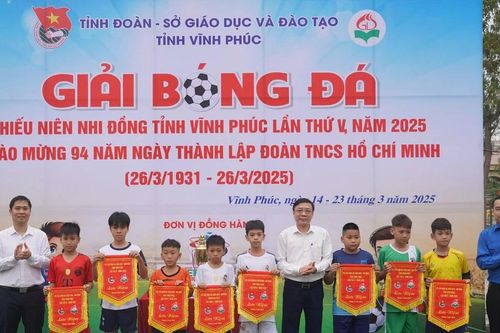 8 đội bóng tranh tài tại Giải bóng đá Thiếu niên nhi đồng tỉnh Vĩnh Phúc