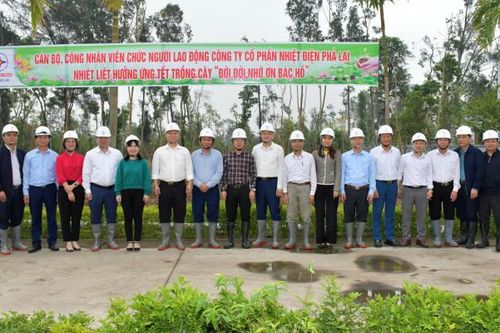 Nhiệt điện Phả Lại hưởng ứng phong trào Tết trồng cây, góp phần bảo vệ môi trường