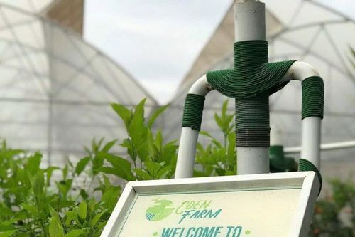 CEO Eden Farm Nguyễn Văn Đức và khát vọng kiến tạo chuỗi giá trị nông sản Việt bền vững