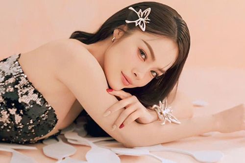 Dương Cẩm Lynh U50: Mẹ đơn thân quyến rũ, nỗ lực kiếm tiền nuôi con