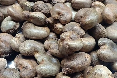Chỉ 2 tháng vung 10.700 tỷ gom mua, một loại hạt từ châu Phi tràn về Việt Nam