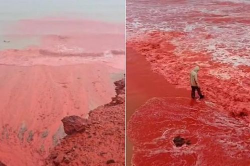 Bãi biển chuyển màu đỏ rực gây xôn xao