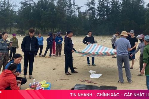 Phát hiện xác cá voi dạt vào bờ biển Hà Tĩnh