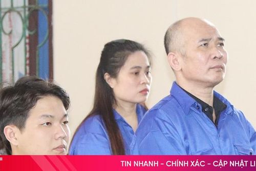 Vẽ 'giấc mơ xuất ngoại', hai lãnh đạo công ty lĩnh án vì lừa đảo