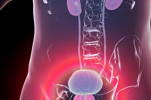 Hướng đi mới đầy hứa hẹn trong điều trị bệnh ung thư tuyến tiền liệt