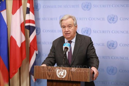 Tổng thư ký LHQ kêu gọi hành động khẩn cấp vì tương lai của Syria