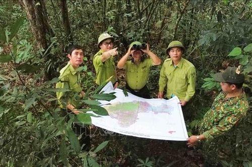 Phát triển du lịch sinh thái gắn với bảo vệ rừng