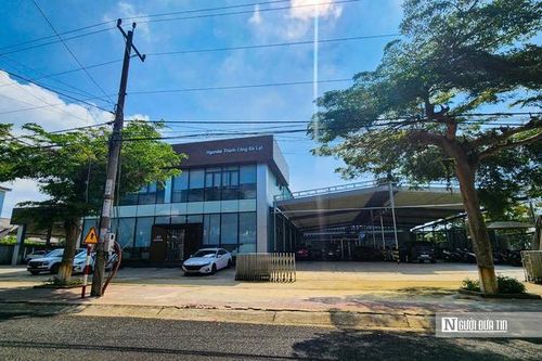 Lâm Đồng: Xây dựng bãi đậu xe sai phép, doanh nghiệp bị phạt 240 triệu đồng