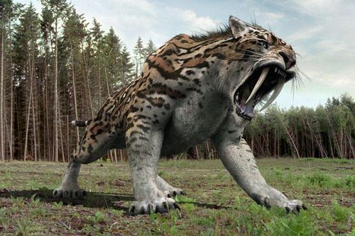 Hé lộ loài quái thú từng suýt xóa sổ tổ tiên con người chúng ta