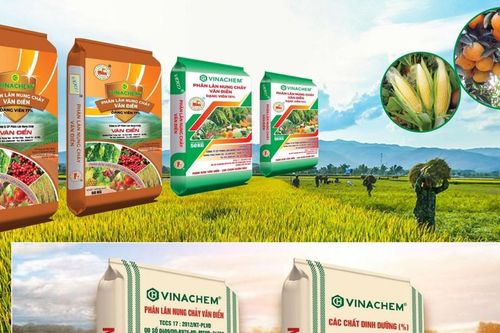 Cổ phiếu Vinachem bị đưa vào diện kiểm soát do vấn đề kiểm toán