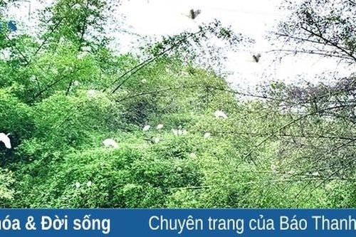 Khám phá đảo Cò